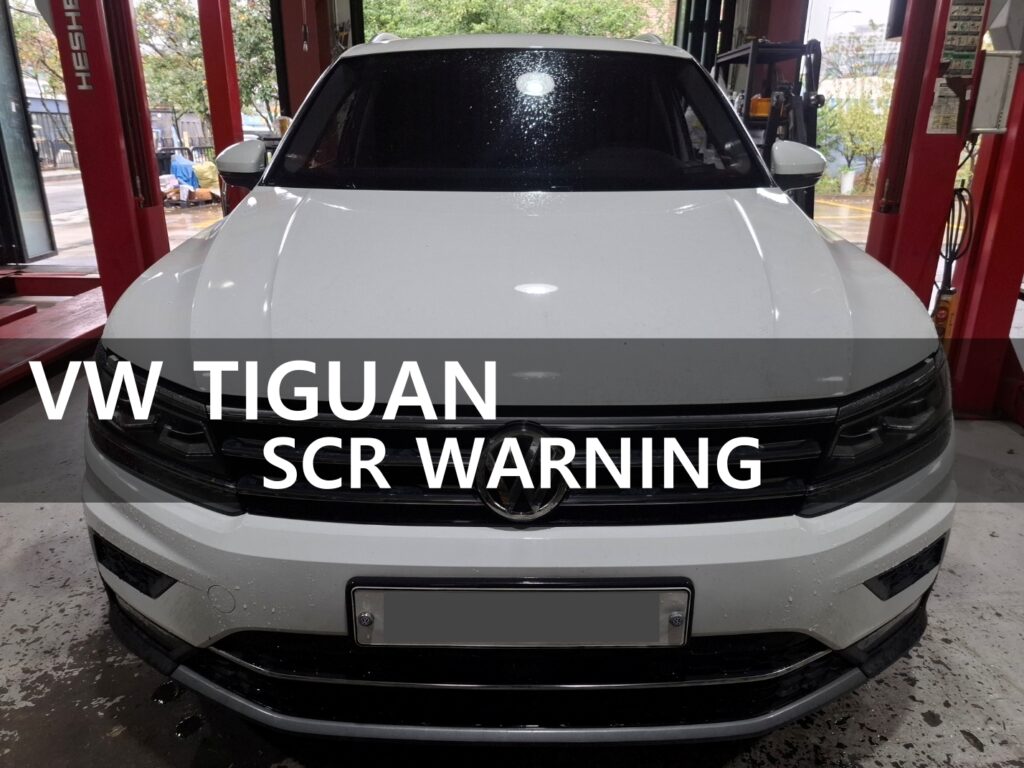 VW TIGUAN 300