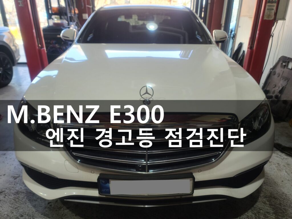 KakaoTalk 20260224 12542501300