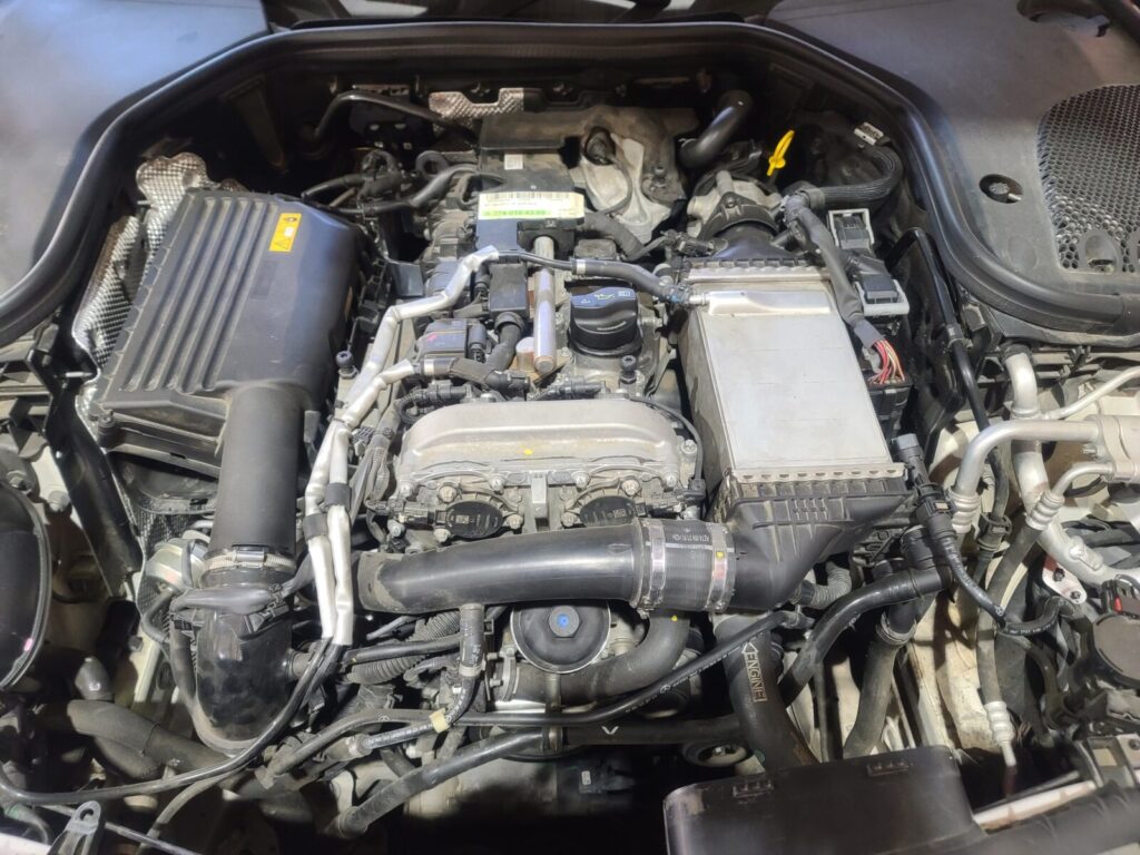 KakaoTalk 20260224 125425013 03