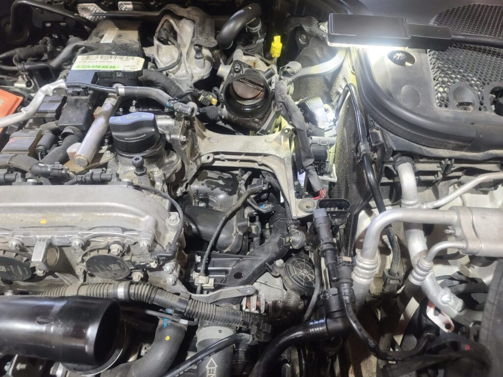 KakaoTalk 20260224 125425013 09